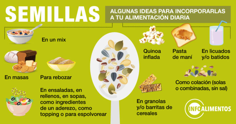 20 Tipos de Semillas: Guía Completa para una Dieta Saludable