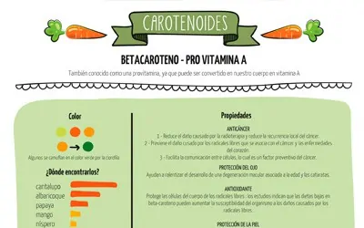 Alimentos Ricos en Carotenos: Guía Completa para una Salud Radiante