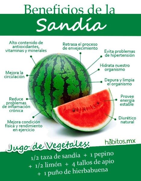 Beneficios de la Sandía: Más que Agua, un Tesoro de Salud