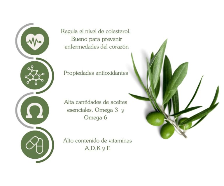 Beneficios de las Aceitunas: Descubre por qué son buenas para tu salud