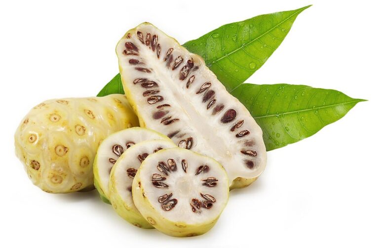 Beneficios del Noni: Descubre cómo este fruto tropical puede mejorar tu salud