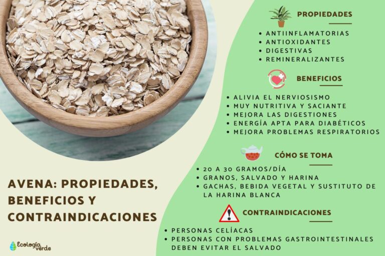 Beneficios y   Desventajas de la Avena   Diaria: ¿Es Realmente Tan Sana?