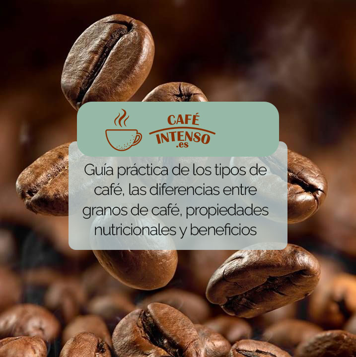 Café: Propiedades, Beneficios y Recetas Increíbles