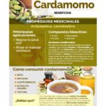 Cardamomo: Propiedades, Beneficios y Usos en la Cocina