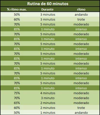 Cardio para Quemar Grasa: Rutina de Intensidad Picos