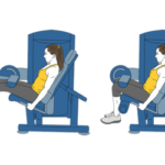 Curl Femoral Sentado en Máquina: Guía Completa para Fortalecer Tus Isquiotibiales