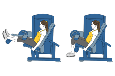 Curl Femoral Sentado en Máquina: Guía Completa para Fortalecer Tus Isquiotibiales