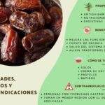 Dátiles: Propiedades, Beneficios y Uso en la Cocina – Guía Completa