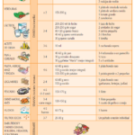 Dieta Diaria: Claves para una Salud Óptima