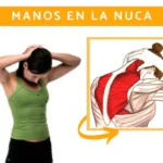 Ejercicios Cuello y Trapecio: Rutina Completa para Fortalecer y Flexibilizar