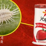 El secreto del rojo en los yogures de fresa: ¿Es de la fruta o de un insecto?