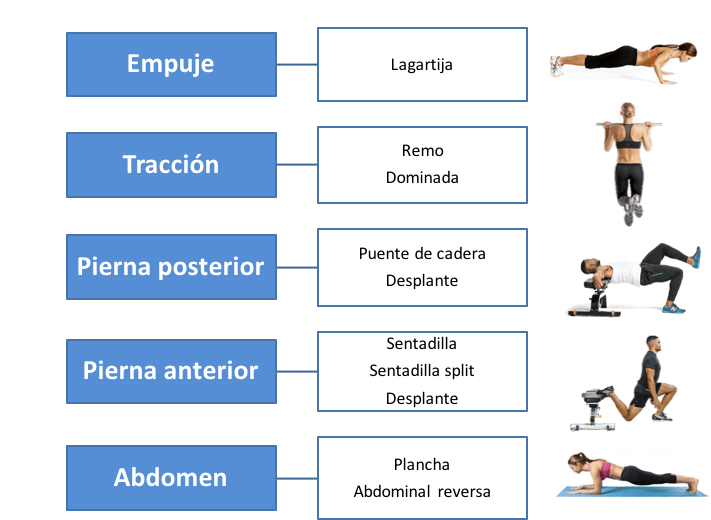 Entrena desde casa: Guía de ejercicios para mantenerte en forma