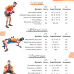 Entrenamientos Completos: Rutinas y Ejercicios para Cada Músculo