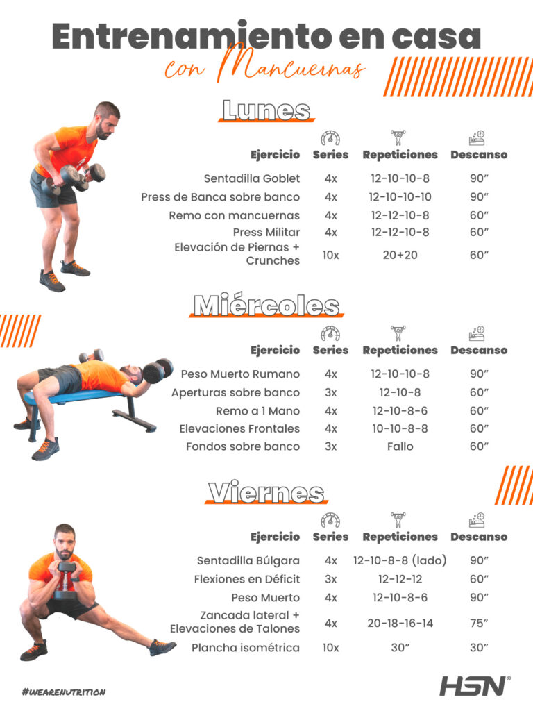 Entrenamientos Completos: Rutinas y Ejercicios para Cada Músculo