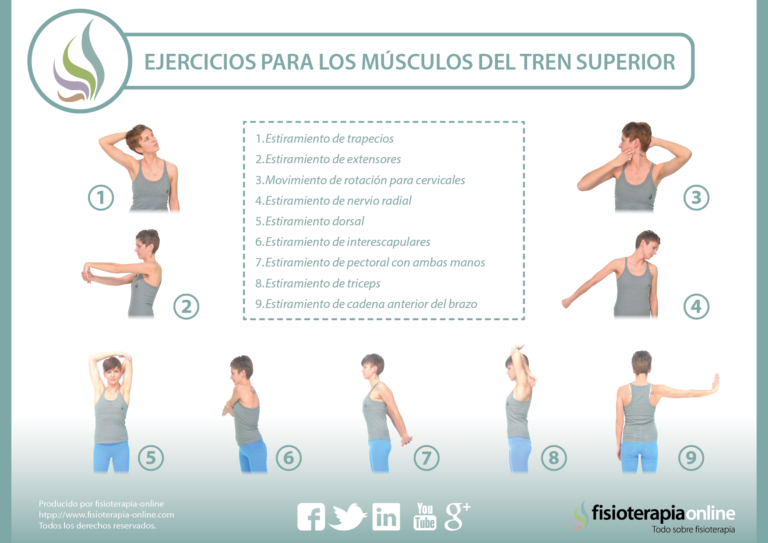 Estiramientos para Tren Superior: Rutina Completa para Flexibilidad y Recuperación