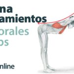 Estiramientos Pectorales y Bíceps: Guía Completa para Flexibilidad y Alivio