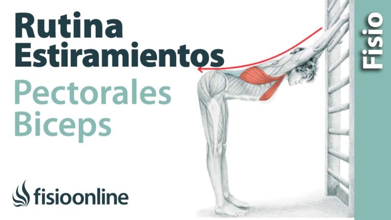 Estiramientos Pectorales y Bíceps: Guía Completa para Flexibilidad y Alivio