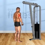 Extensión Triceps Supino Una Mano Polea: Guía Completa para un Crecimiento Óptimo