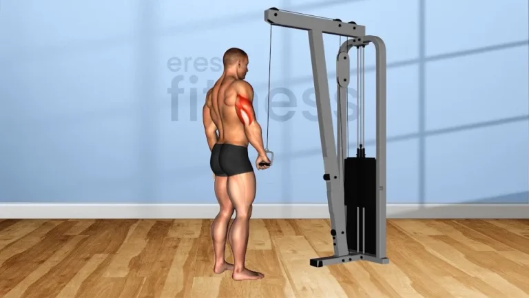 Extensión Triceps Supino Una Mano Polea: Guía Completa para un Crecimiento Óptimo