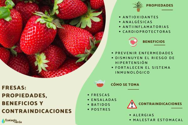 Fresas: Beneficios, propiedades y usos de esta deliciosa fruta