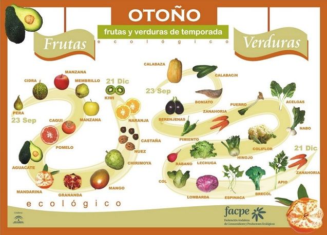 Frutas y Verduras con Vitamina C: Top 5 para el Otoño