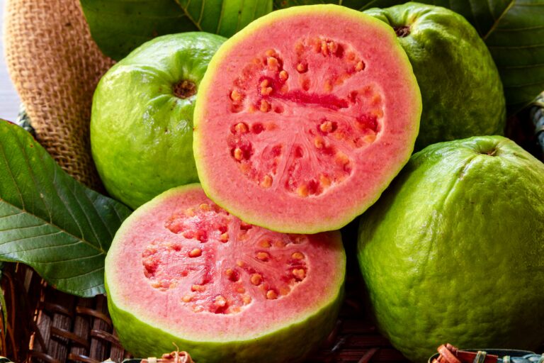 Guayaba: La Fruta Con Más Antioxidantes para Combatir el Envejecimiento