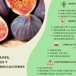 Higo Fruta: Beneficios Medicinales para tu Salud – Guía Completa