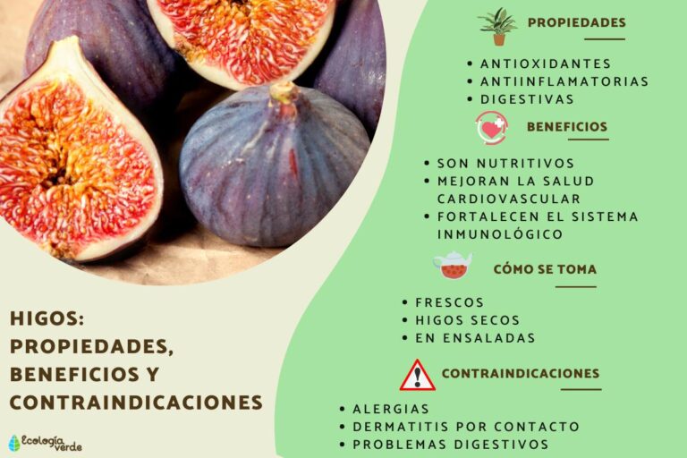 Higo Fruta: Beneficios Medicinales para tu Salud – Guía Completa