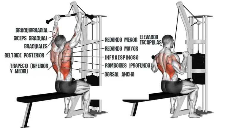 Jalón con Polea Alta al Pecho: Guía Completa para una Espalda Impresionante