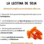 Lecitina de Soja: Propiedades, Beneficios y Uso en Cocina – Guía Completa