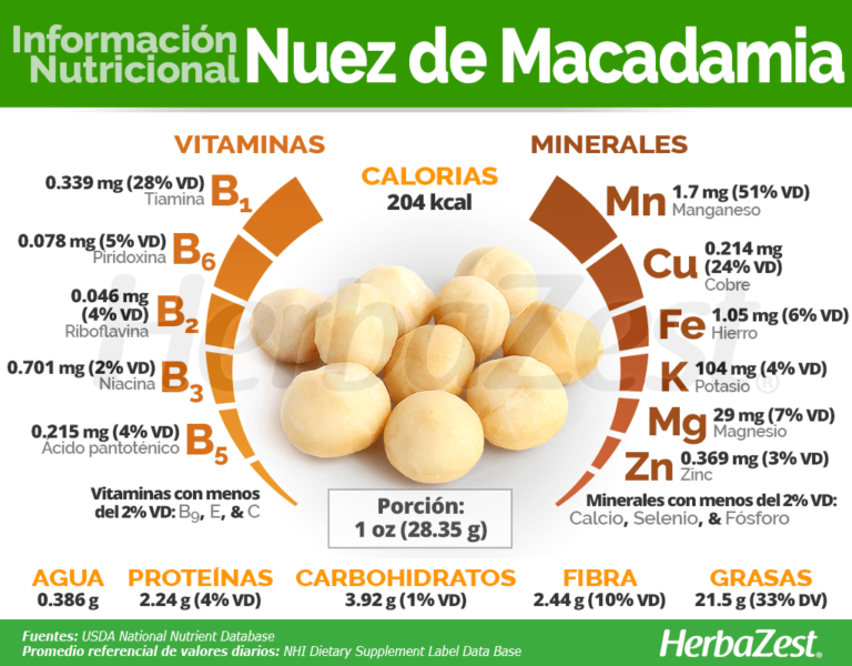 Nueces de Macadamia: Beneficios Cardiosaludables y Propiedades Nutricionales