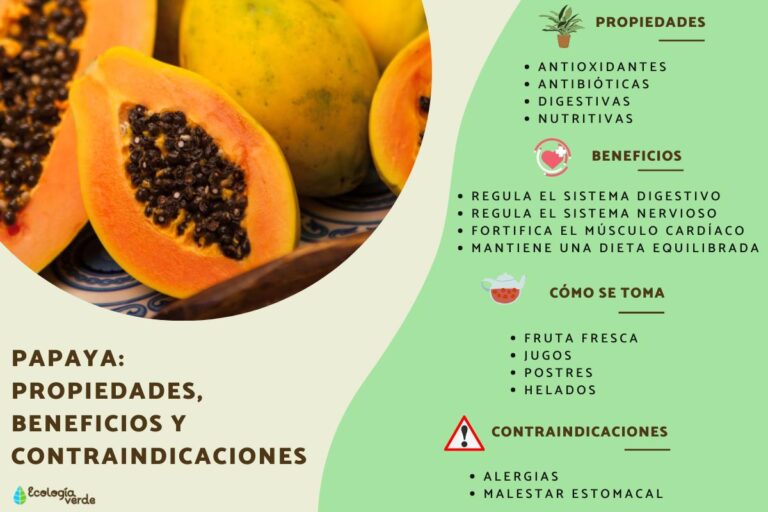 Papaya: Beneficios, Propiedades y Recetas Deliciosas