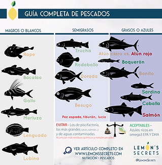 Pescados por Grasa: Guía Completa para Elegir el Mejor para Ti