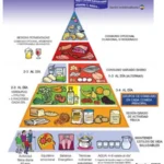 Pirámide Alimentaria:   ¿Un Modelo Obsoleto? Cambios Impactantes (I)