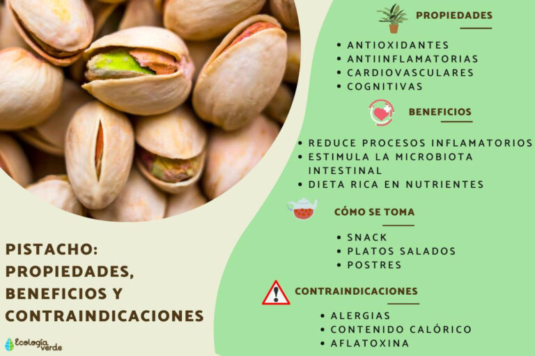 Pistachos: Beneficios para la salud que no puedes ignorar