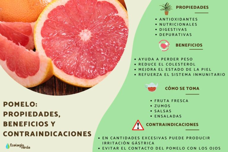 Pomelo: La fruta cítrica que te sorprenderá por sus beneficios