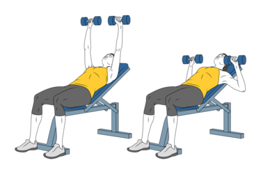 Press Pectoral Inclinado con Mancuernas: Guía Completa para un Pecho Impecable