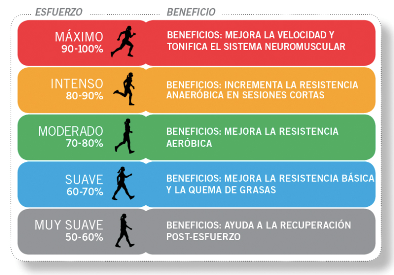 Quema calorías y fortalece el cuerpo con cardio total