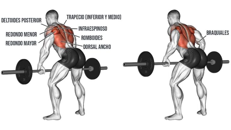 Remo con Barra en Polea: Guía Completa para Fortalecer tu Espalda