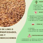 Semillas de Lino: Propiedades, Beneficios y Recetas Saludables