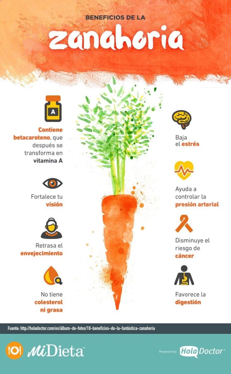 Zanahorias:   Beneficios, propiedades y recetas para una dieta saludable